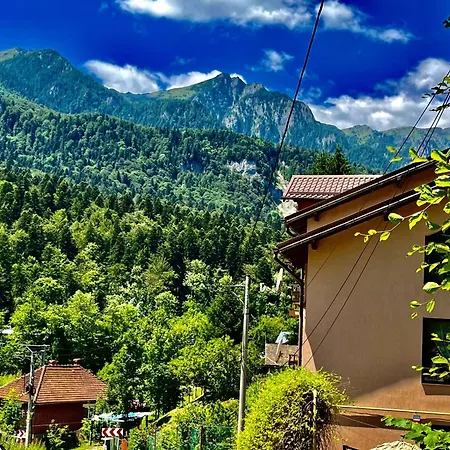 Pensiunea Roua Sinaia