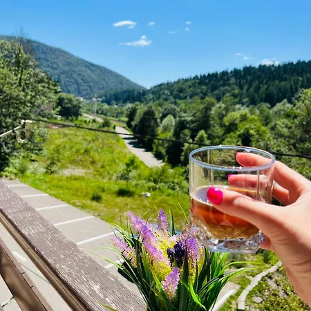 Pensiunea Roua 3* Sinaia
