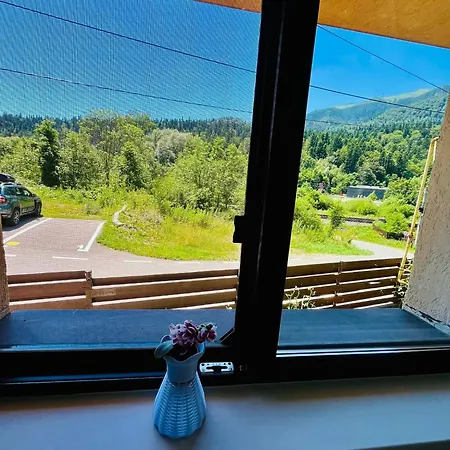 Bed & Breakfast Pensiunea Roua Sinaia