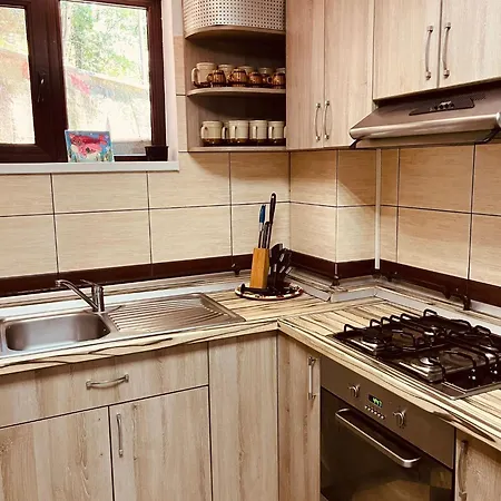 Pensiunea Roua Bed & Breakfast