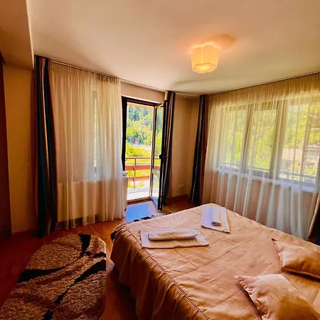 Pensiunea Roua Bed & Breakfast